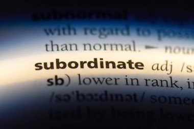 bir sözlüğü'ndeki alt sözcüğü. alt kavramı.