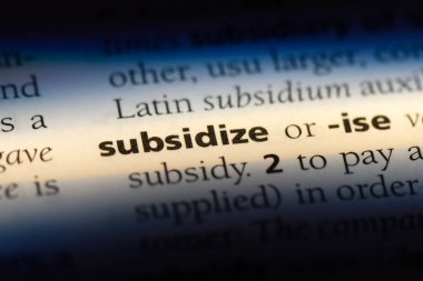 bir sözlüğü'ndeki sözcüğü sübvanse. kavram sübvanse.