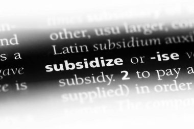 bir sözlüğü'ndeki sözcüğü sübvanse. kavram sübvanse.