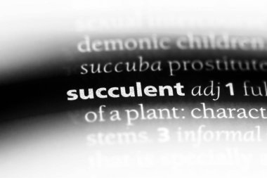 etli tek kelimeyle bir sözlük. etli kavramı.