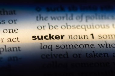 bir sözlüğü'ndeki sözcüğü enayi. enayi kavramı.