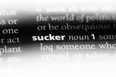 bir sözlüğü'ndeki sözcüğü enayi. enayi kavramı.