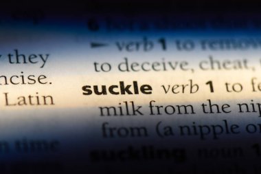 bir sözlüğü'ndeki sözcüğü emzirmek. kavram emzirmek.