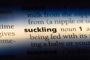 bir sözlüğü'ndeki sözcüğü emziriyorlar. emzirmeyi kavram.