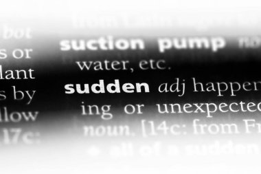 bir sözlüğü'ndeki ani sözcüğü. ani kavramı.