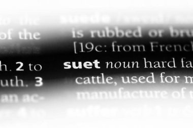 Süet Word'de bir sözlük. Süet kavramı.