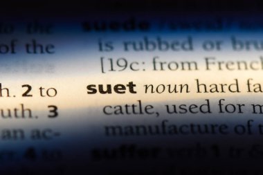 Süet Word'de bir sözlük. Süet kavramı.