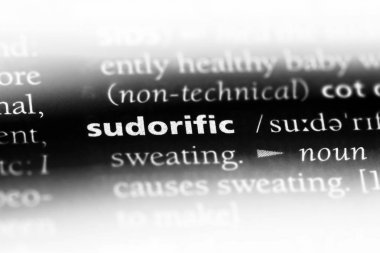 terletici tek kelimeyle bir sözlük. terletici kavramı.