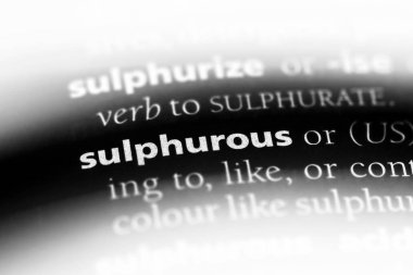 Kükürtlü tek kelimeyle bir sözlük. Kükürtlü kavramı.