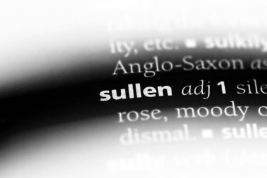 somurtkan tek kelimeyle bir sözlük. somurtkan kavramı.