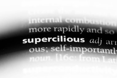 mağrur tek kelimeyle bir sözlük. mağrur kavramı.