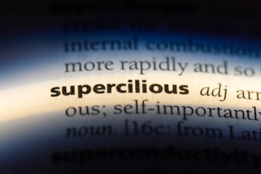 mağrur tek kelimeyle bir sözlük. mağrur kavramı.