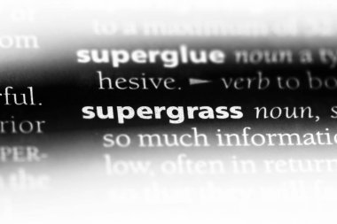 bir sözlüğü'ndeki Supergrass sözcüğü. Supergrass kavramı.