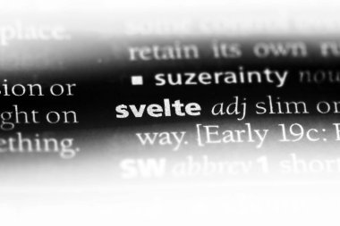 narin tek kelimeyle bir sözlük. narin kavramı.