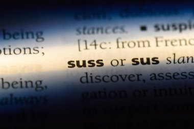 bir sözlüğü'ndeki sözcüğü süss. kavram süss.