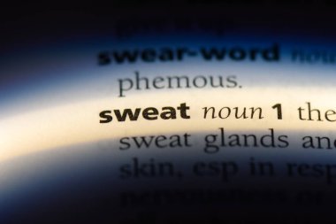 bir sözlüğü'ndeki sözcüğü ter. kavram ter.