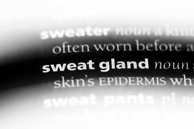 ter bezi Word'de bir sözlük. ter bezi kavramı.