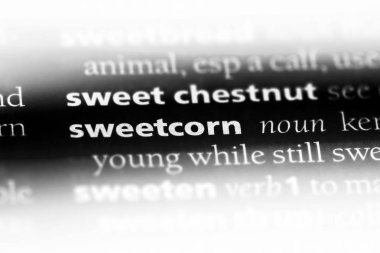 bir sözlüğü'ndeki Mısır sözcüğü. Mısır kavramı.