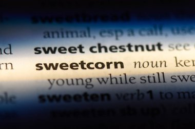 bir sözlüğü'ndeki Mısır sözcüğü. Mısır kavramı.