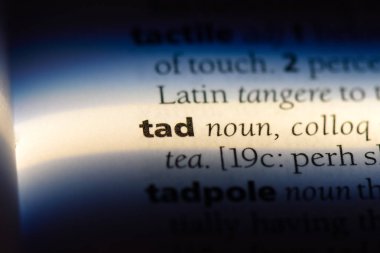 Tad Word'de bir sözlük. Tad kavramı.