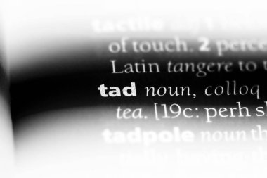 Tad Word'de bir sözlük. Tad kavramı.