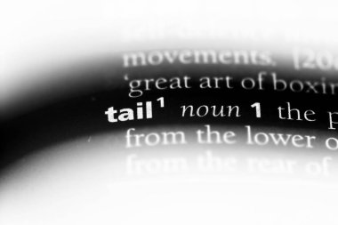 kuyruk kelime sözlüğe. kuyruk kavramı.