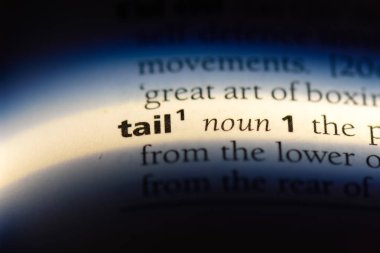 kuyruk kelime sözlüğe. kuyruk kavramı.