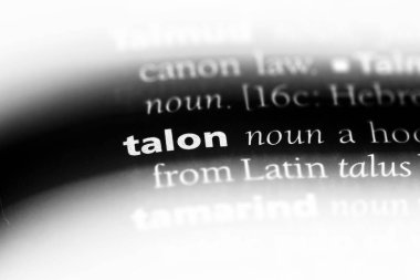 pençe Word'de bir sözlük. pençe kavramı.