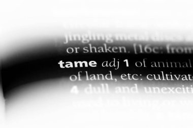 bir sözlüğü'ndeki Evcil sözcüğü. uysal kavramı.