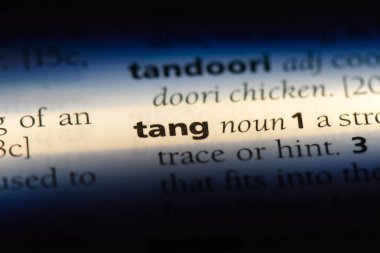 Tang Word'de bir sözlük. Tang kavramı.