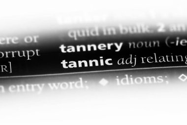 bir sözlüğü'ndeki tanenli sözcüğü. tanenli kavramı.