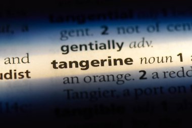 mandalina tek kelimeyle bir sözlük. mandalina kavramı.