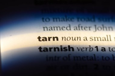 Tarn Word'de bir sözlük. Tarn kavramı.