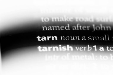 Tarn Word'de bir sözlük. Tarn kavramı.