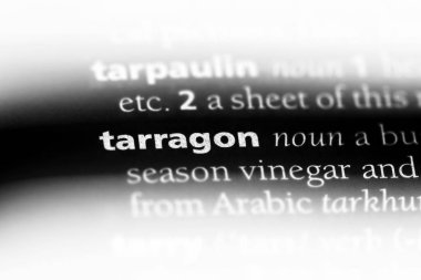 Tarhun Word'de bir sözlük. Tarhun kavramı.