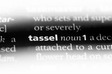 bir sözlüğü'ndeki sözcüğü püskül. püskül kavramı.