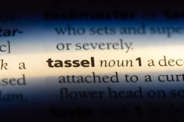 bir sözlüğü'ndeki sözcüğü püskül. püskül kavramı.