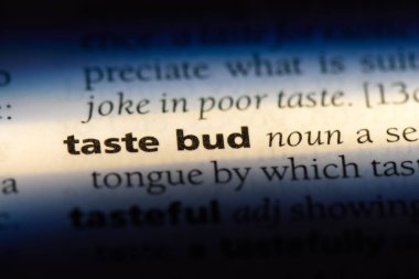 tat bud Word'de bir sözlük. tat kavramı.