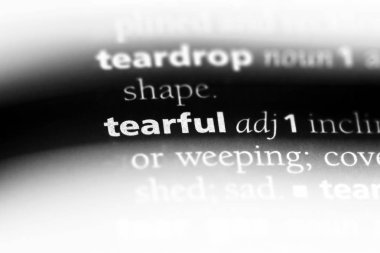 bir sözlüğü'ndeki ağlamaklı sözcüğü. ağlamaklı kavramı.