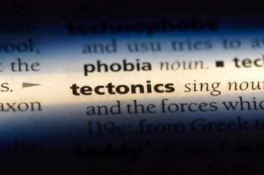 bir sözlüğü'ndeki deniz yaşamı sözcüğü. deniz yaşamı kavramı.