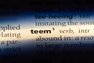 bir sözlüğü'ndeki sözcüğü dönüşür. kavram teem.