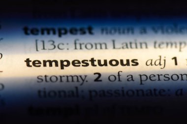 bir sözlüğü'ndeki fırtınalı sözcüğü. fırtınalı kavramı.