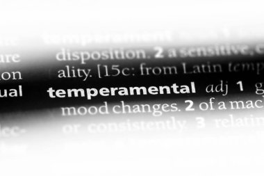 maymun iştahlı tek kelimeyle bir sözlük. maymun iştahlı kavramı.