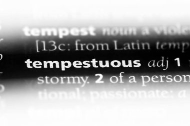 bir sözlüğü'ndeki fırtınalı sözcüğü. fırtınalı kavramı.