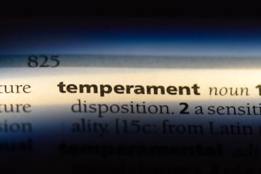 mizaç Word'de bir sözlük. mizaç kavramı.