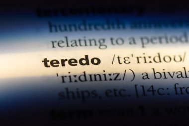 Teredo Word'de bir sözlük. Teredo kavramı.