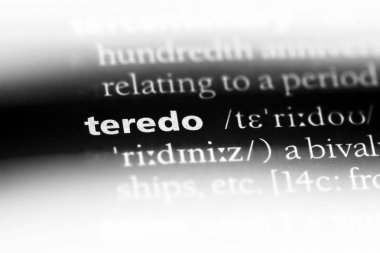 Teredo Word'de bir sözlük. Teredo kavramı.