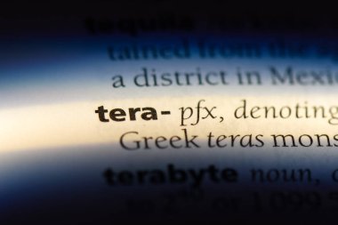Tera Word'de bir sözlük. Tera kavramı.