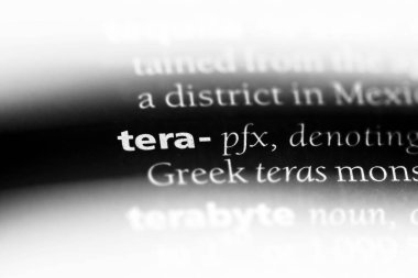 Tera Word'de bir sözlük. Tera kavramı.