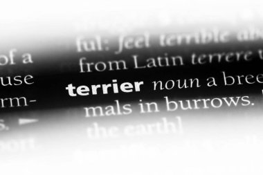 korkunç bir sözlük tek kelimeyle. korkunç kavramı.